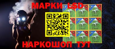 эйфоретик Можга