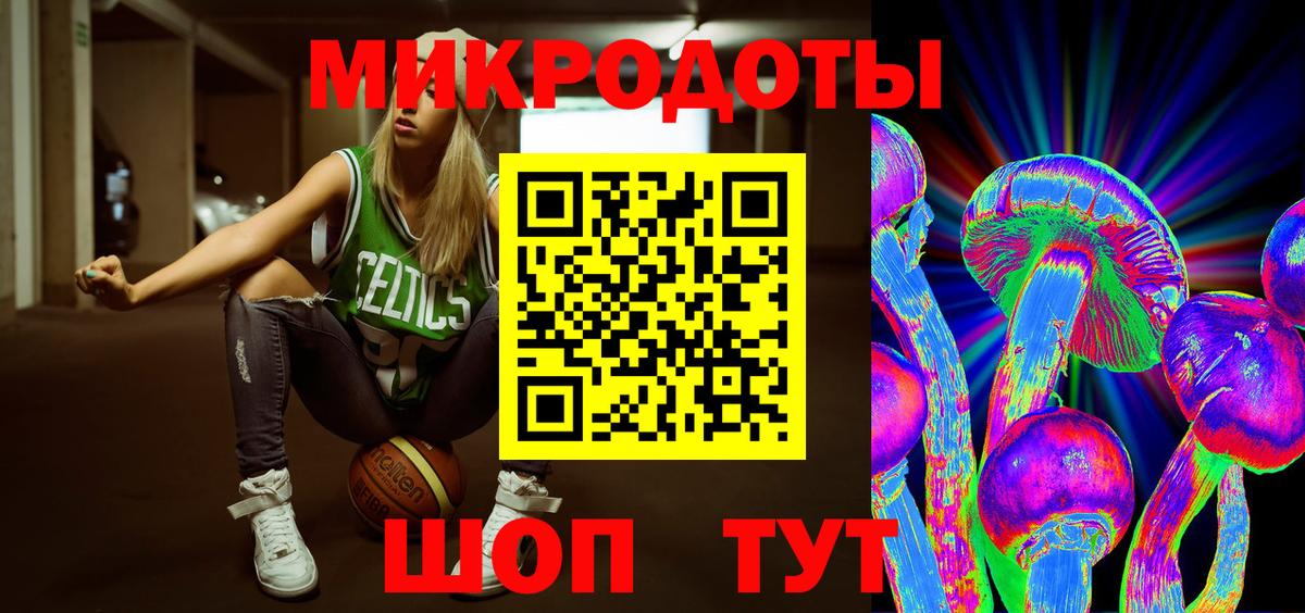 Псилоцибиновые грибы Psilocybine cubensis Сосновоборск