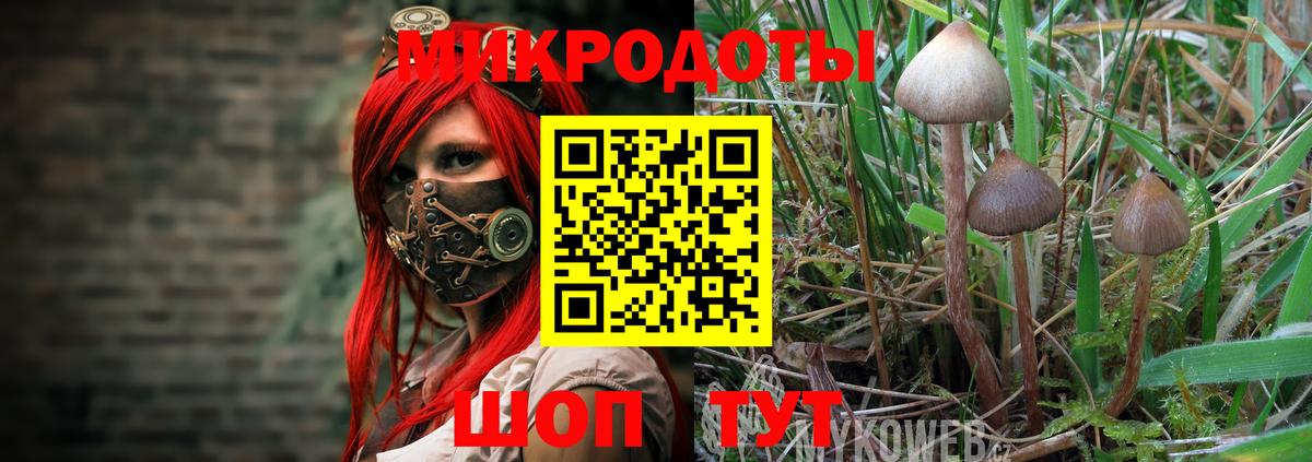 Псилоцибиновые грибы Magic Shrooms  Вход с VPN  Сосновоборск 